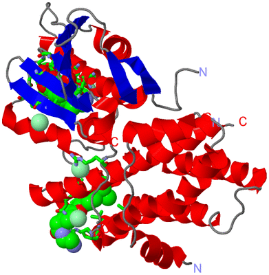 Image Asym./Biol. Unit - sites