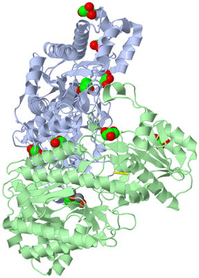 Image Asym./Biol. Unit