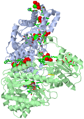 Image Asym./Biol. Unit - sites