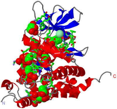 Image Asym./Biol. Unit - sites