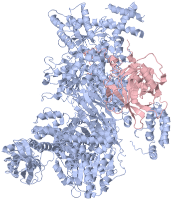 Image Biological Unit 1