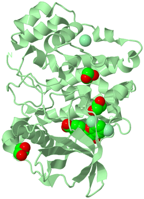 Image Biological Unit 2