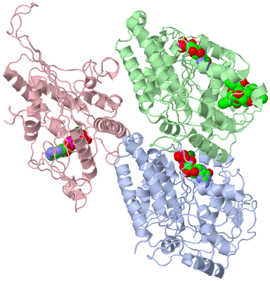 Image Asym./Biol. Unit