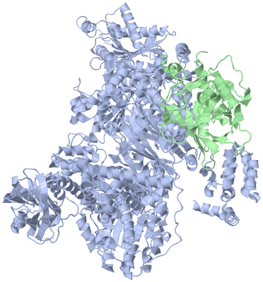 Image Biological Unit 1