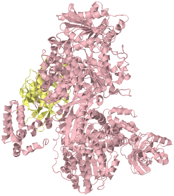 Image Biological Unit 2