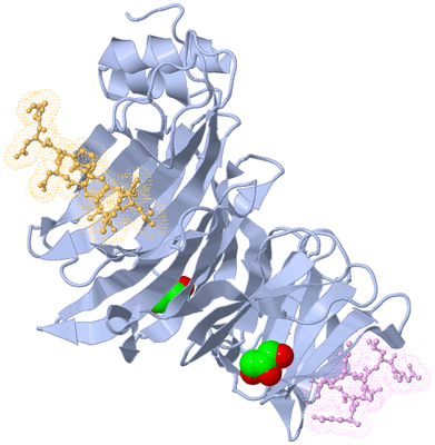 Image Biological Unit 1