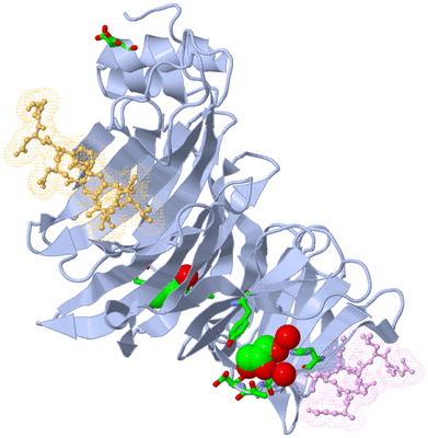 Image Biol. Unit 1 - sites