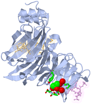 Image Biol. Unit 1 - sites