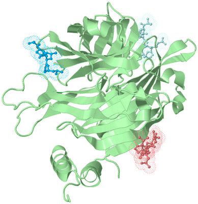 Image Biological Unit 2