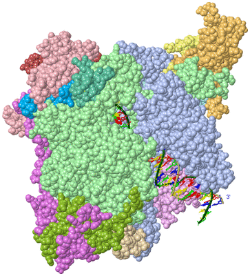 Image Asym./Biol. Unit