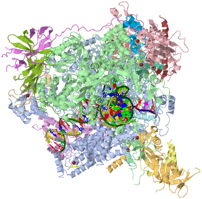 Image Asym./Biol. Unit