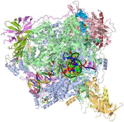 Image Asym./Biol. Unit - sites