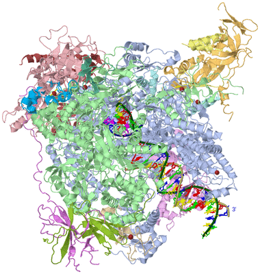 Image Asym./Biol. Unit