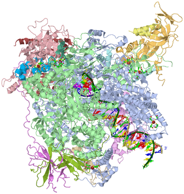 Image Asym./Biol. Unit - sites