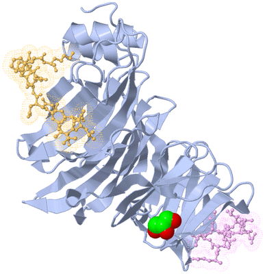 Image Biological Unit 1