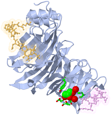 Image Biol. Unit 1 - sites