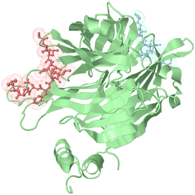 Image Biological Unit 2