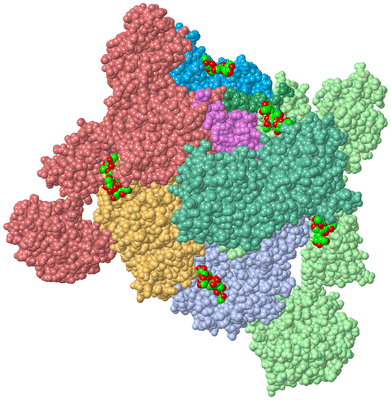 Image Asym./Biol. Unit