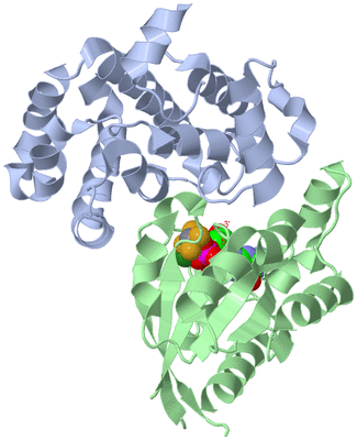 Image Biological Unit 1