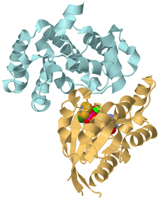 Image Biological Unit 2