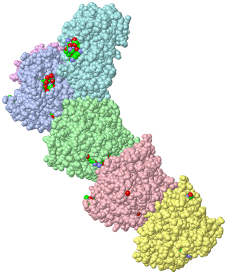 Image Asym./Biol. Unit - sites