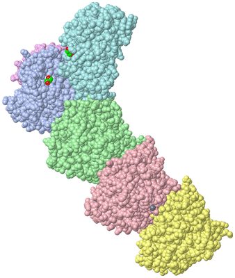 Image Asym./Biol. Unit