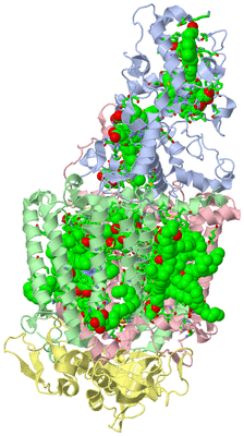 Image Asym./Biol. Unit - sites