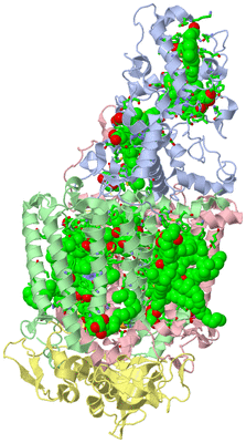 Image Asym./Biol. Unit - sites