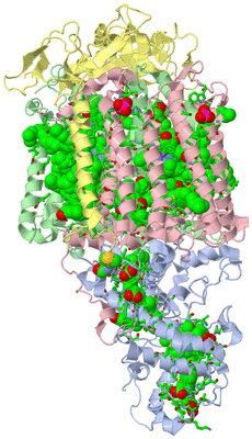 Image Asym./Biol. Unit - sites