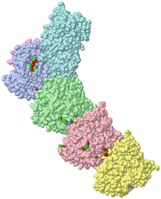 Image Asym./Biol. Unit - sites