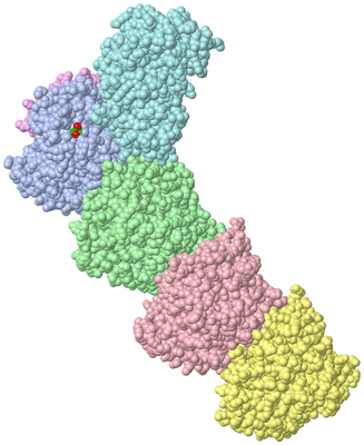 Image Asym./Biol. Unit