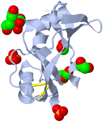 Image Biological Unit 1