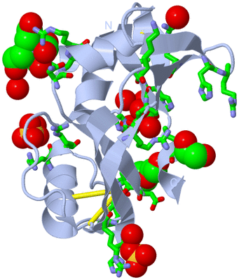 Image Biol. Unit 1 - sites