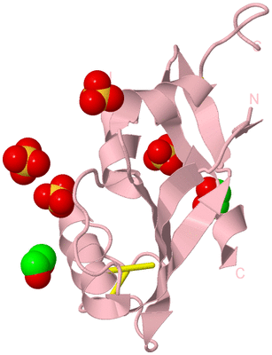 Image Biological Unit 3