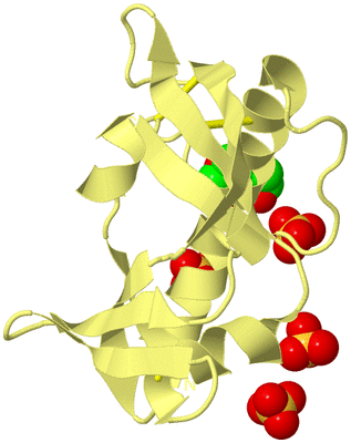 Image Biological Unit 4