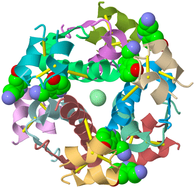 Image Biological Unit 2