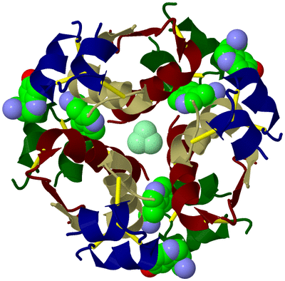 Image Biological Unit 4