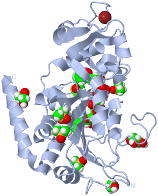 Image Biological Unit 1