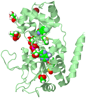 Image Biological Unit 2