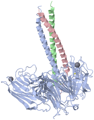 Image Asym./Biol. Unit