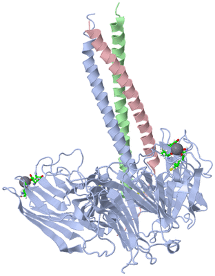 Image Asym./Biol. Unit - sites