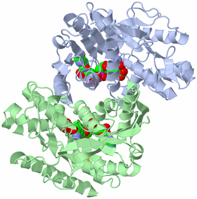 Image Asym./Biol. Unit