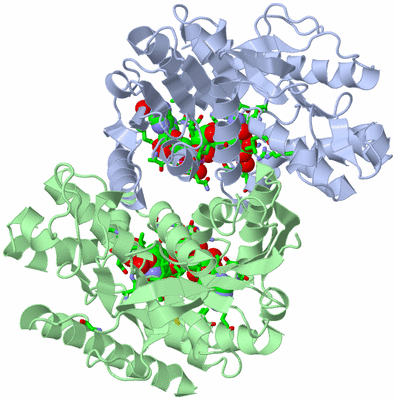 Image Asym./Biol. Unit - sites