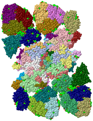 Image Asym./Biol. Unit