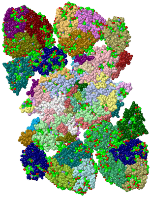 Image Asym./Biol. Unit - sites