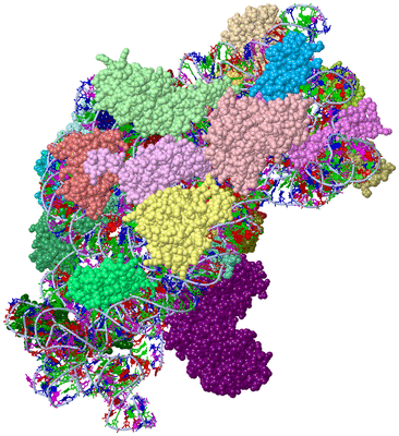 Image Asym./Biol. Unit