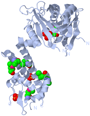 Image Biological Unit 1