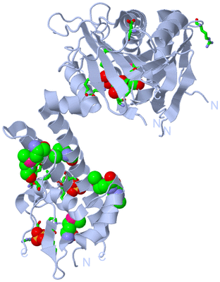 Image Biol. Unit 1 - sites