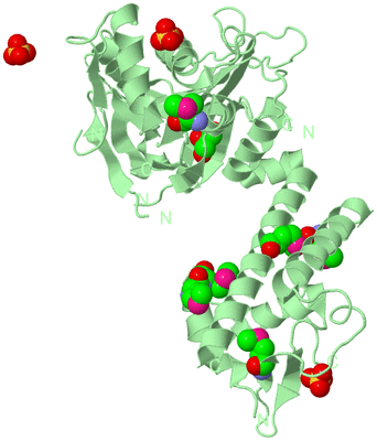 Image Biological Unit 2