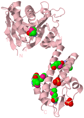 Image Biological Unit 3